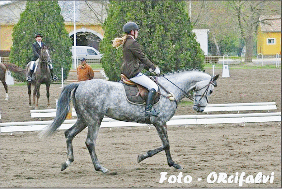 Orcifalvi Istvn kpei: vadnyit Bbolnn 2012 prilis  14-15.