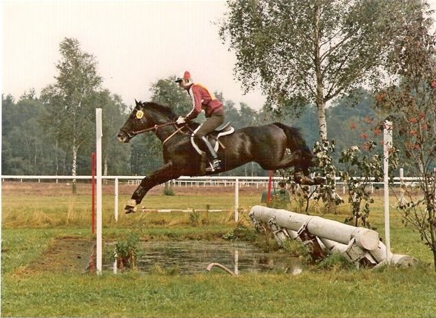 1987 Eb Horvth Zoltn