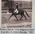 Dallos Gyula--Bordal
