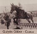 Gulys Gbor--Casco