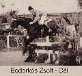 Bodorks Zsolt--Cl