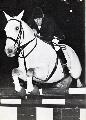 Ted Williams (GBR) on Pegasus in 1963
